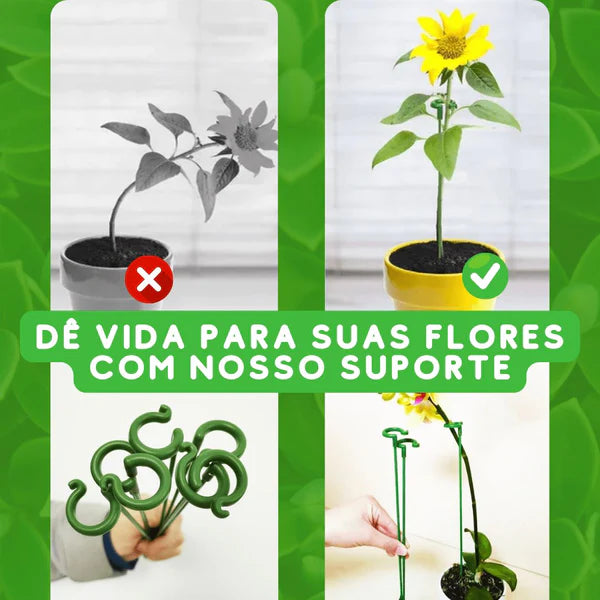 Suportes PlantLife™ - Suas Plantas Mais Grandiosas e Vivas - Amantes de Plantas