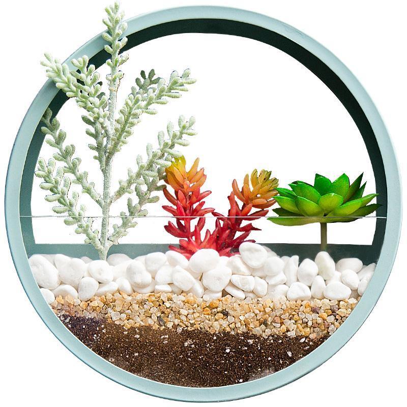 Vaso de Parede Moderno - PetalPot™ - Amantes de Plantas