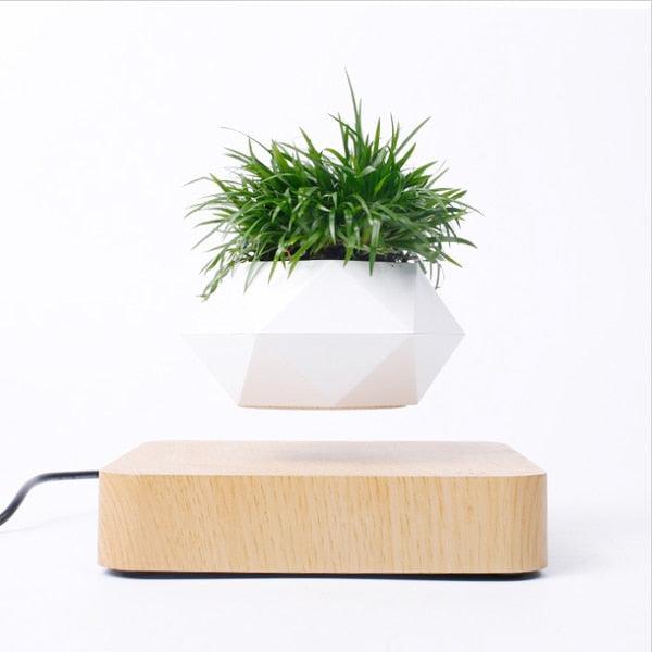 Vaso de Planta Flutuante com Suspensão Magnética - GreenPot™ - Amantes de Plantas