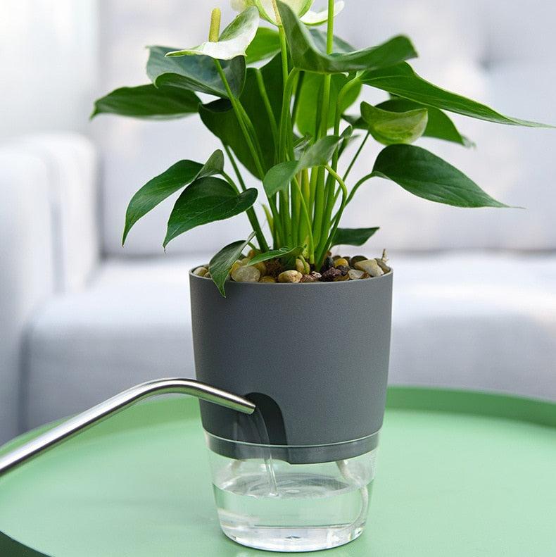 Irrigador Moderno Automático Para Plantas - ModernPlant™ - Amantes de Plantas