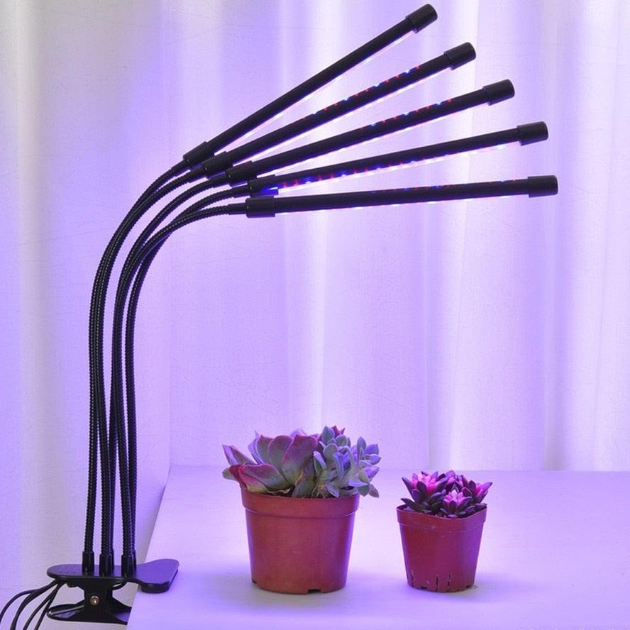 Led Acelerador De Crescimento Para Plantas - PlantLight™ - Amantes de Plantas