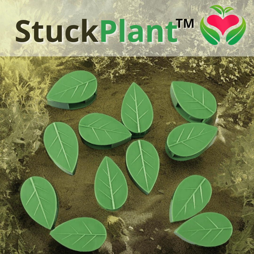 Clips StuckPlant™ - Exalte a Beleza De Suas Plantas - Amantes de Plantas